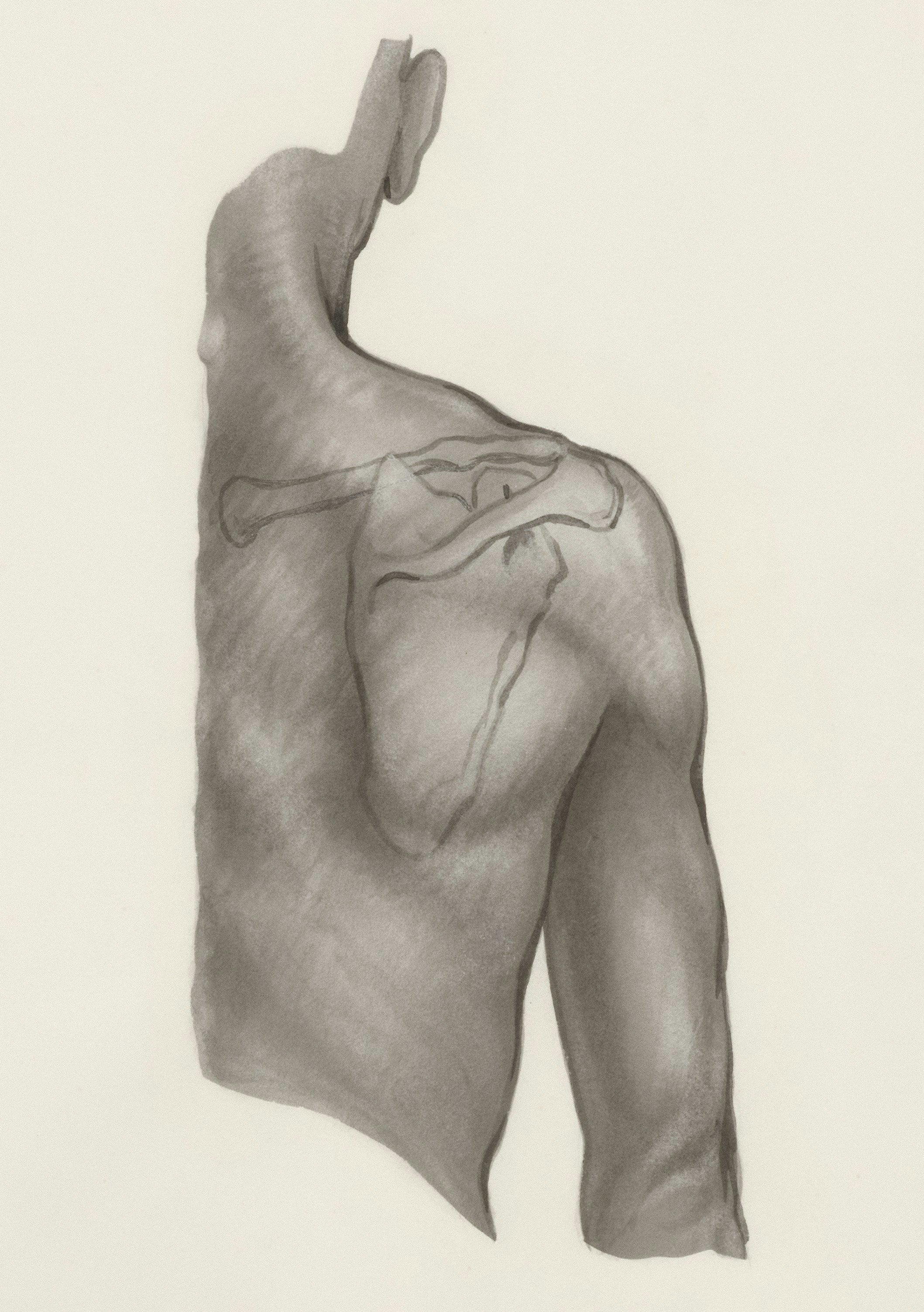 After Shoulder Surgery: Milestones for Your Recovery